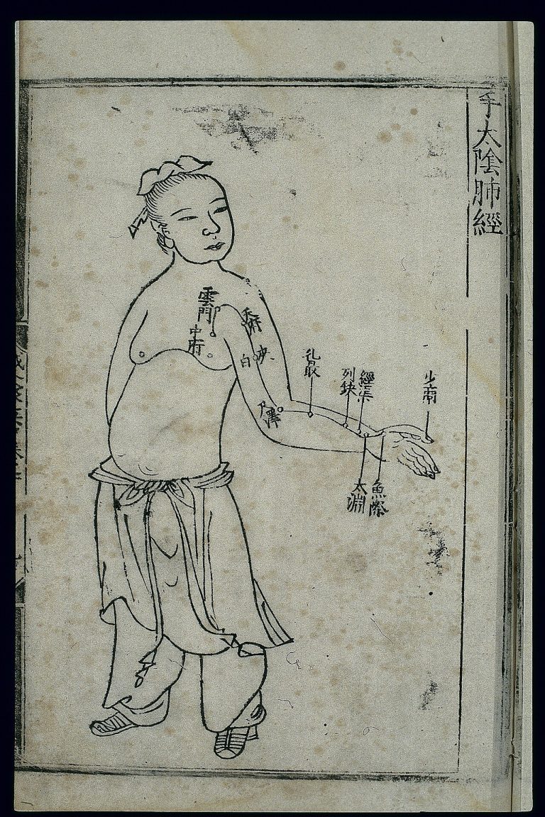 Chinese medical chart of the lung meridian — the heart-mind framework of traditional thought