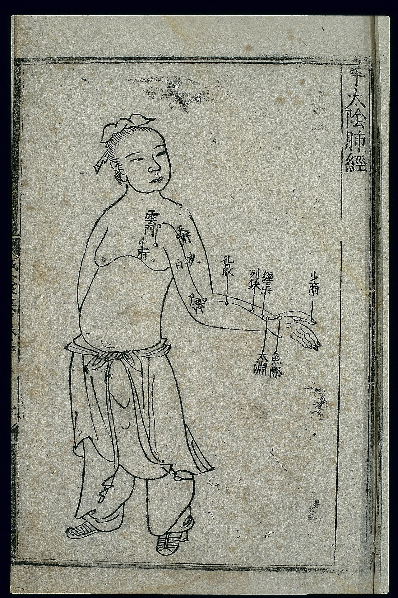 Chinese medical chart of the lung meridian — the heart-mind framework of traditional thought