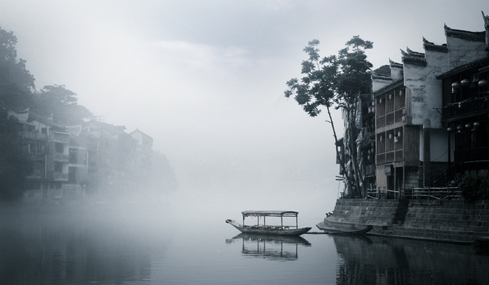 The Fenghuang (Chinese phoenix) — symbol of phoenix bloodline in xianxia