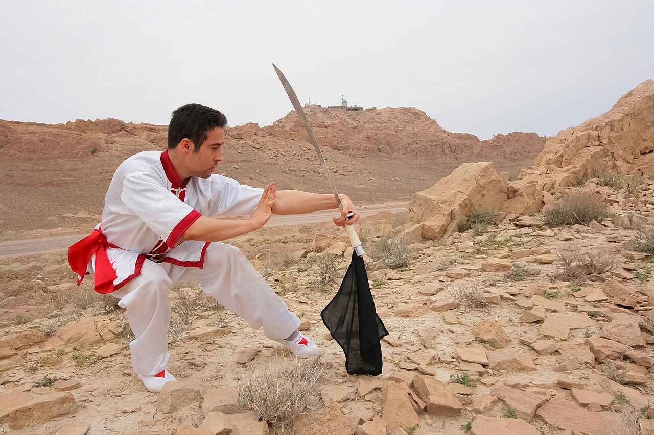 Modern wushu martial arts demonstration — descendant of the historical wulin tradition